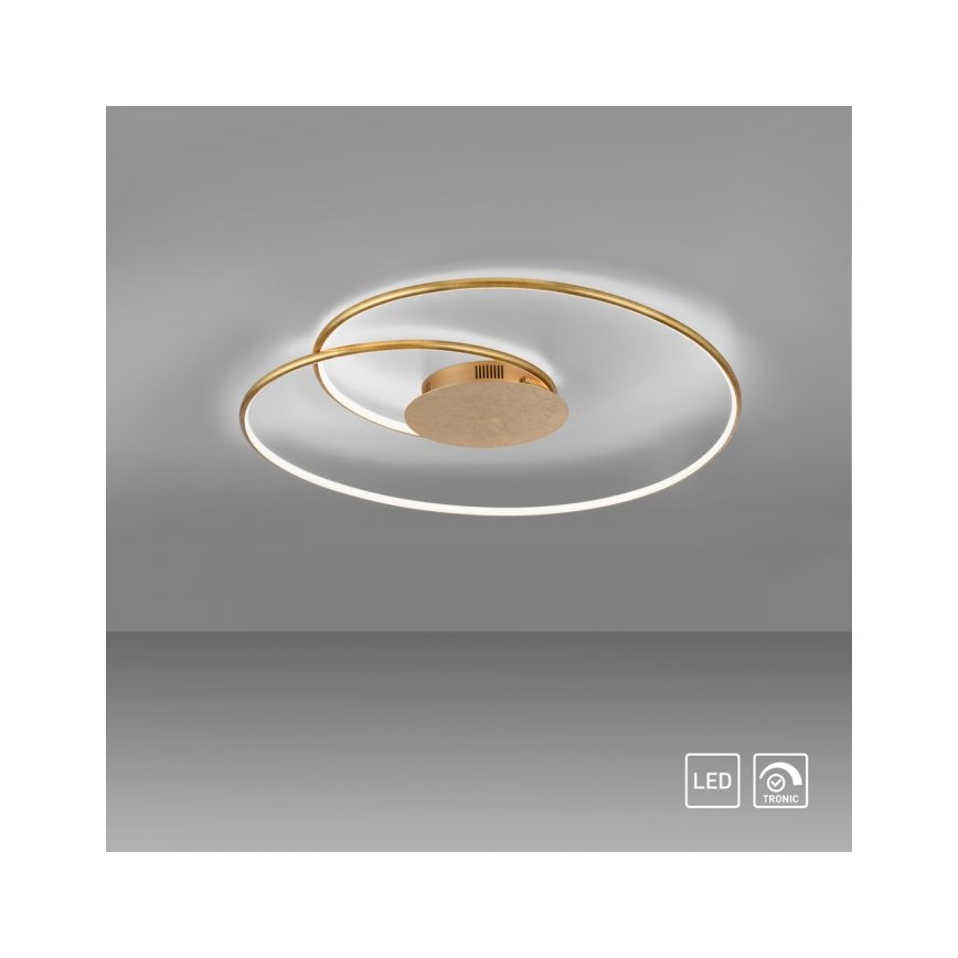 Paul Neuhaus 6189-12 - Светодиодный потолочный светильник с регулированием яркости NASTRO LED/26W/230V