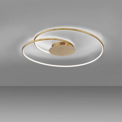 Paul Neuhaus 6189-12 - Светодиодный потолочный светильник с регулированием яркости NASTRO LED/26W/230V