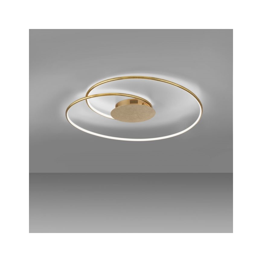 Paul Neuhaus 6189-12 - Светодиодный потолочный светильник с регулированием яркости NASTRO LED/26W/230V