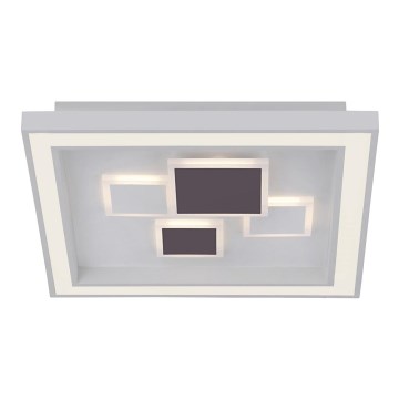 Paul Neuhaus 6283-16 - LED Димерний стельовий світильник ELIZA LED/30W/230V + LED/18,5W