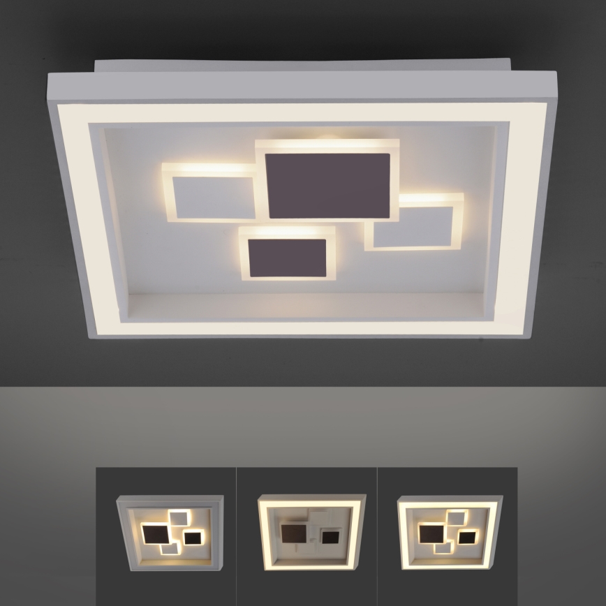 Paul Neuhaus 6283-16 - LED Димерний стельовий світильник ELIZA LED/30W/230V + LED/18,5W