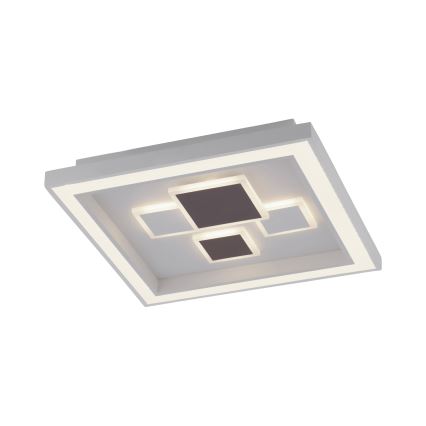 Paul Neuhaus 6283-16 - Светодиодный потолочный светильник с регулированием яркости ELIZA LED/30W/230V + LED/18,5W