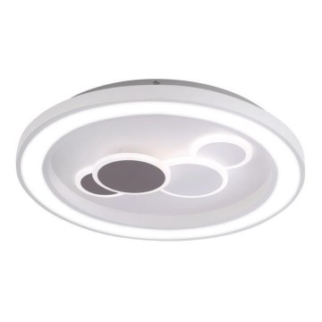 Paul Neuhaus 6284-16 - Светодиодный потолочный светильник ELIZA LED/55,5W/230V диаметр 60 см