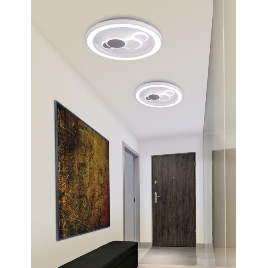Paul Neuhaus 6284-16 - Светодиодный потолочный светильник ELIZA LED/55,5W/230V диаметр 60 см