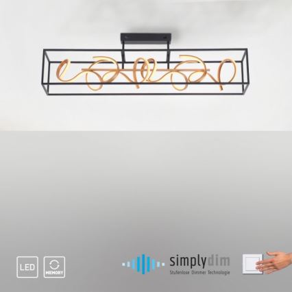 Paul Neuhaus 6473-18 - LED Димерна люстра на жердині SELINA 4xLED/10,2W/230V