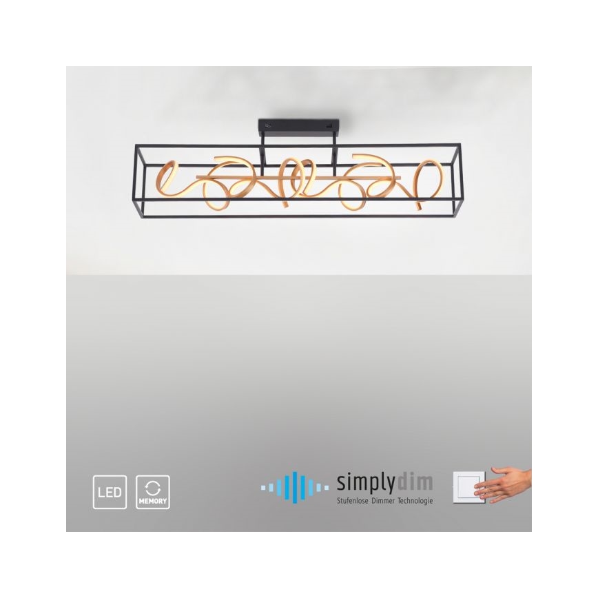 Paul Neuhaus 6473-18 - LED Димерна люстра на жердині SELINA 4xLED/10,2W/230V
