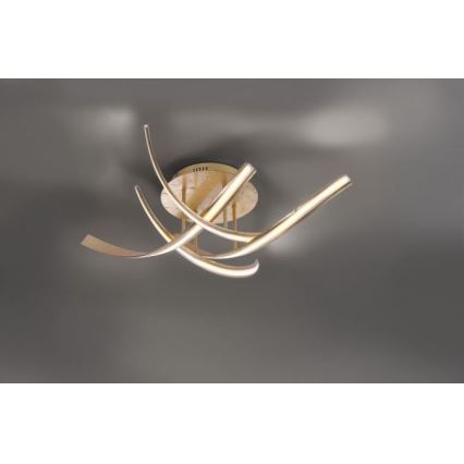 Paul Neuhaus 6474-12 - Пристельова LED люстра з регулюванням яскравості LINDA 4xLED/7W/230V