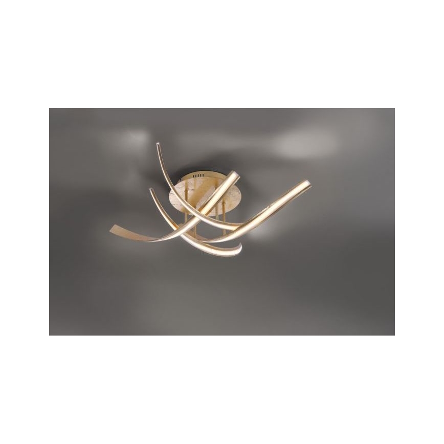 Paul Neuhaus 6474-12 - Пристельова LED люстра з регулюванням яскравості LINDA 4xLED/7W/230V
