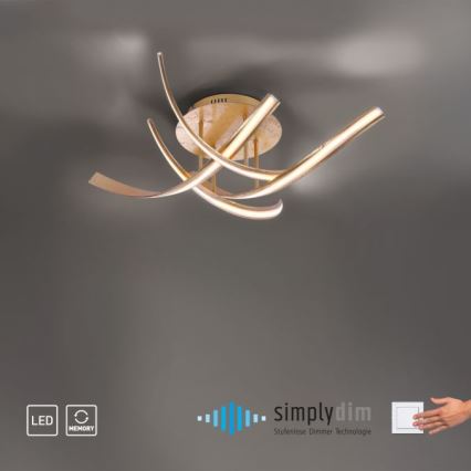 Paul Neuhaus 6474-12 - Пристельова LED люстра з регулюванням яскравості LINDA 4xLED/7W/230V