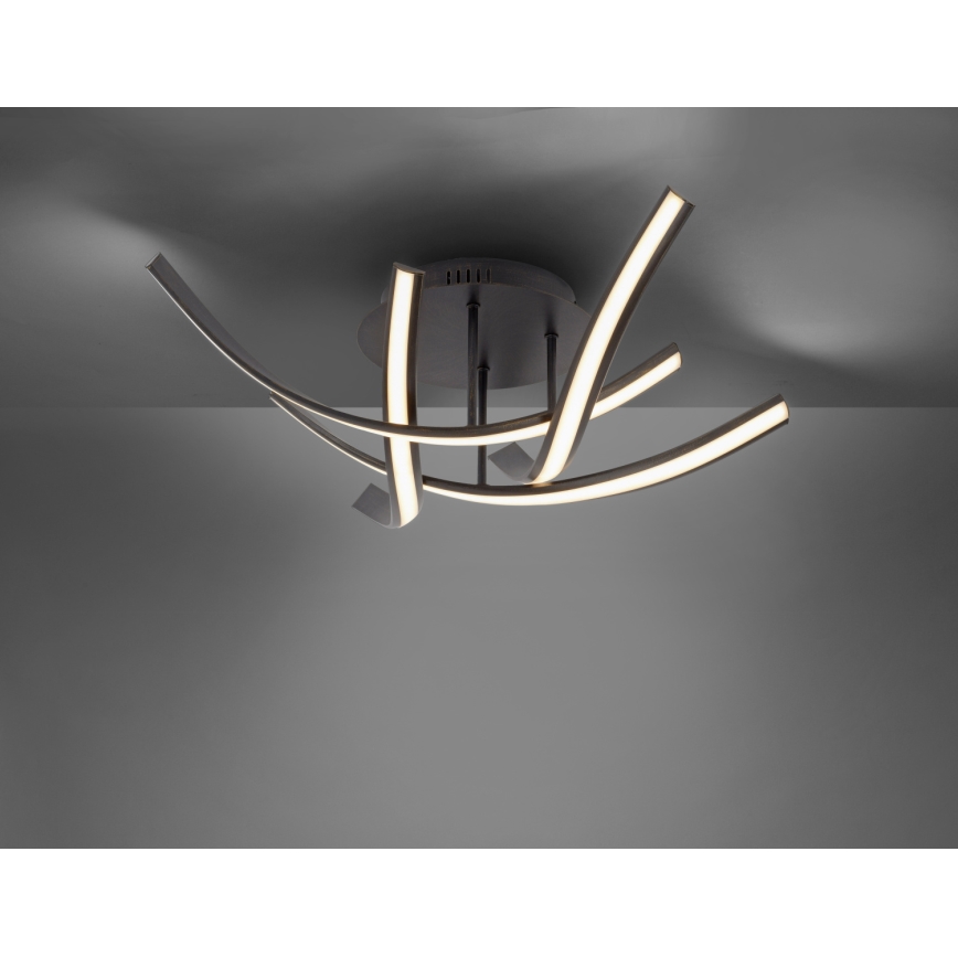 Paul Neuhaus 6474-48 - Пристельова LED люстра з регулюванням яскравості LINDA 4xLED/7W/230V