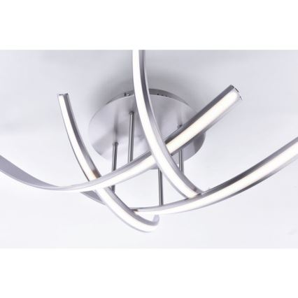 Paul Neuhaus 6474-55 - Стельовий LED світильник з регулюванням яскравості LINDA 4xLED/7W/230V