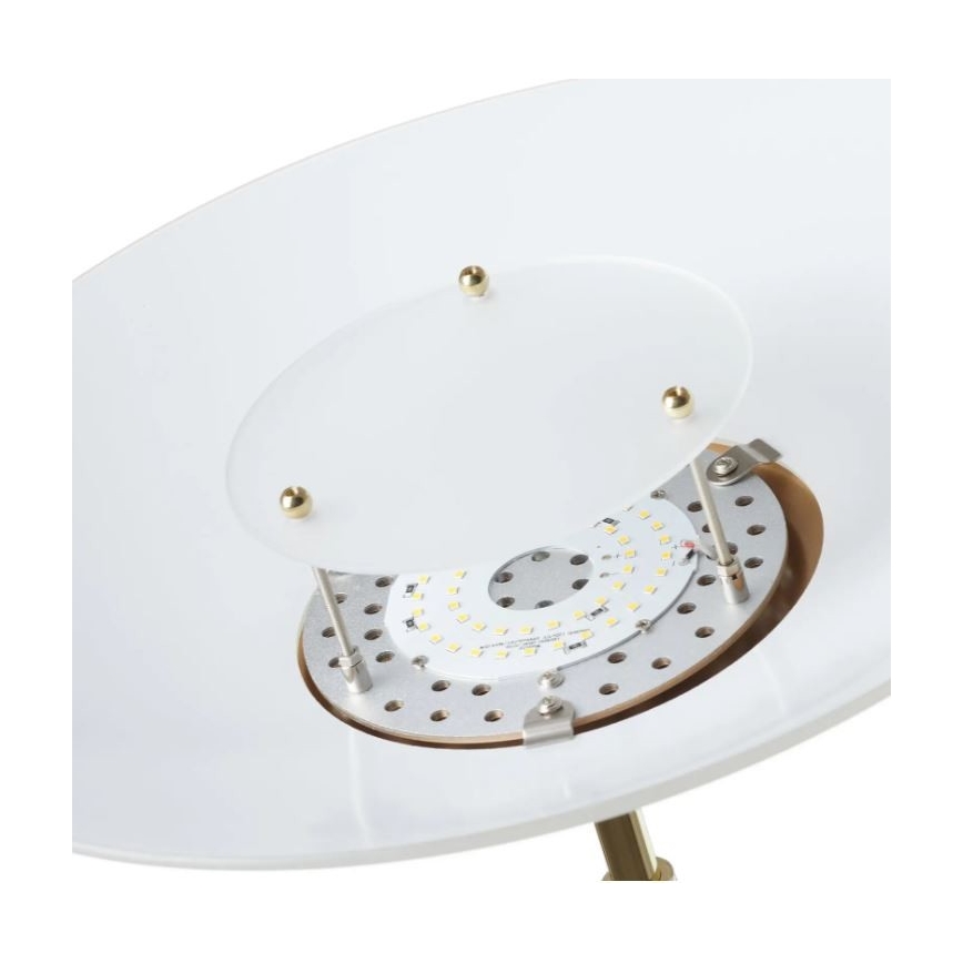 Paul Neuhaus 655-60 - LED Диммируемая напольная лампа ALFRED LED/28W/230V+LED/4W/230V латунь