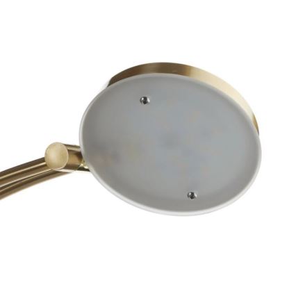 Paul Neuhaus 655-60 - LED підлогова лампа ALFRED з регульованою яскравістю LED/28W/230V+LED/4W/230V латунь