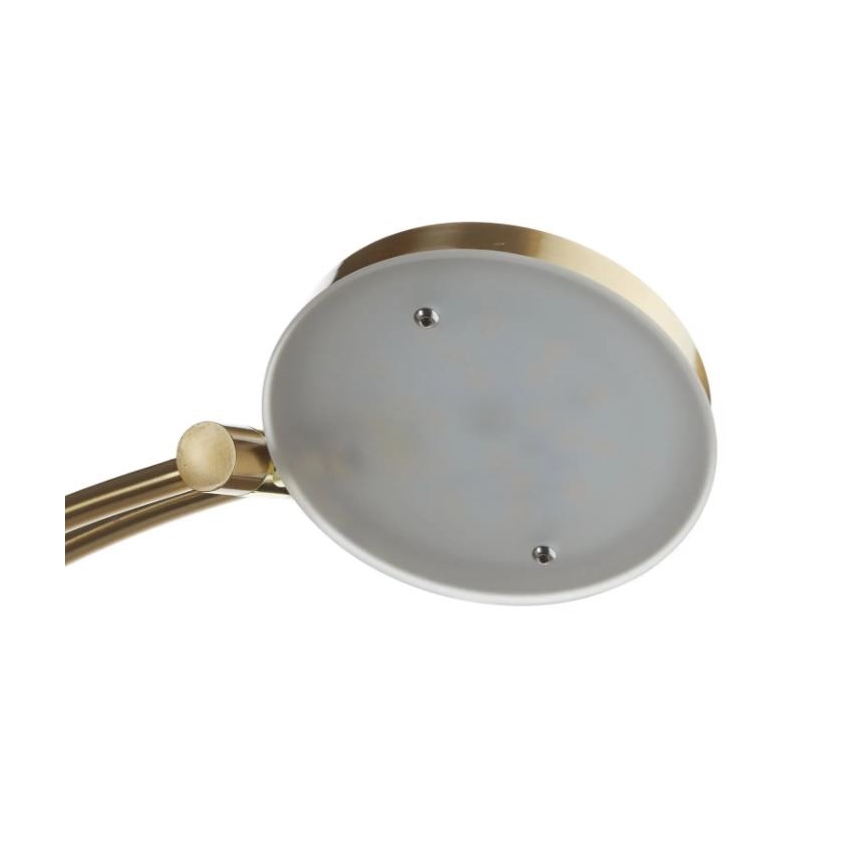 Paul Neuhaus 655-60 - LED підлогова лампа ALFRED з регульованою яскравістю LED/28W/230V+LED/4W/230V латунь