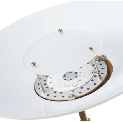 Paul Neuhaus 655-60 - LED підлогова лампа ALFRED з регульованою яскравістю LED/28W/230V+LED/4W/230V латунь