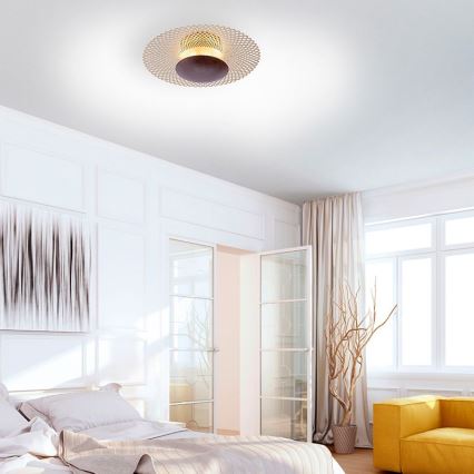 Paul Neuhaus 6551-48 - Светодиодный диммируемый потолочный светильник NEVIS LED/18W/230V