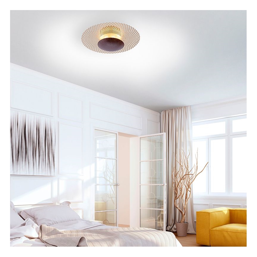 Paul Neuhaus 6551-48 - Светодиодный диммируемый потолочный светильник NEVIS LED/18W/230V