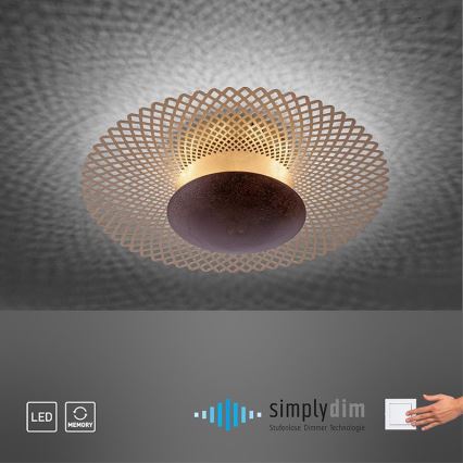 Paul Neuhaus 6551-48 - Светодиодный диммируемый потолочный светильник NEVIS LED/18W/230V