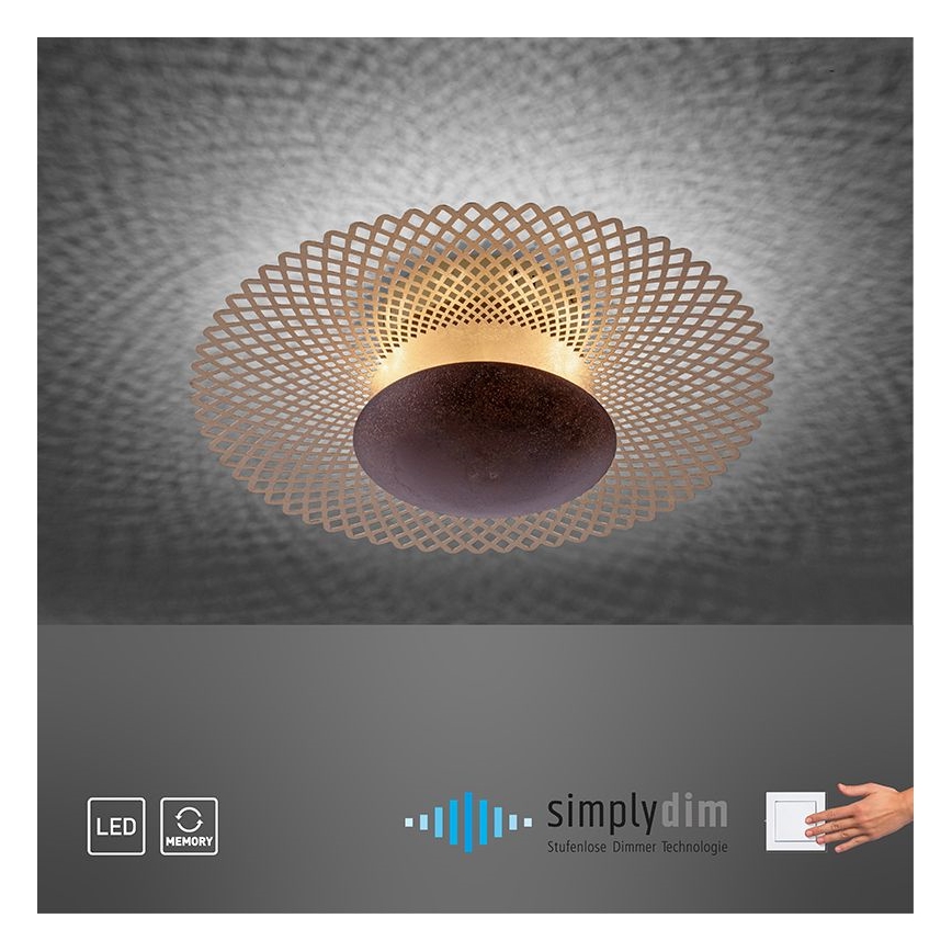 Paul Neuhaus 6551-48 - Светодиодный диммируемый потолочный светильник NEVIS LED/18W/230V
