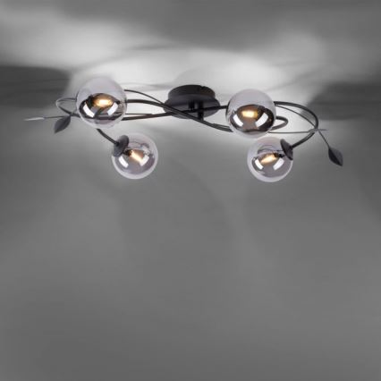 Paul Neuhaus 6724-18 - Пристельова LED люстра WIDOW 4xG9/3W/230V
