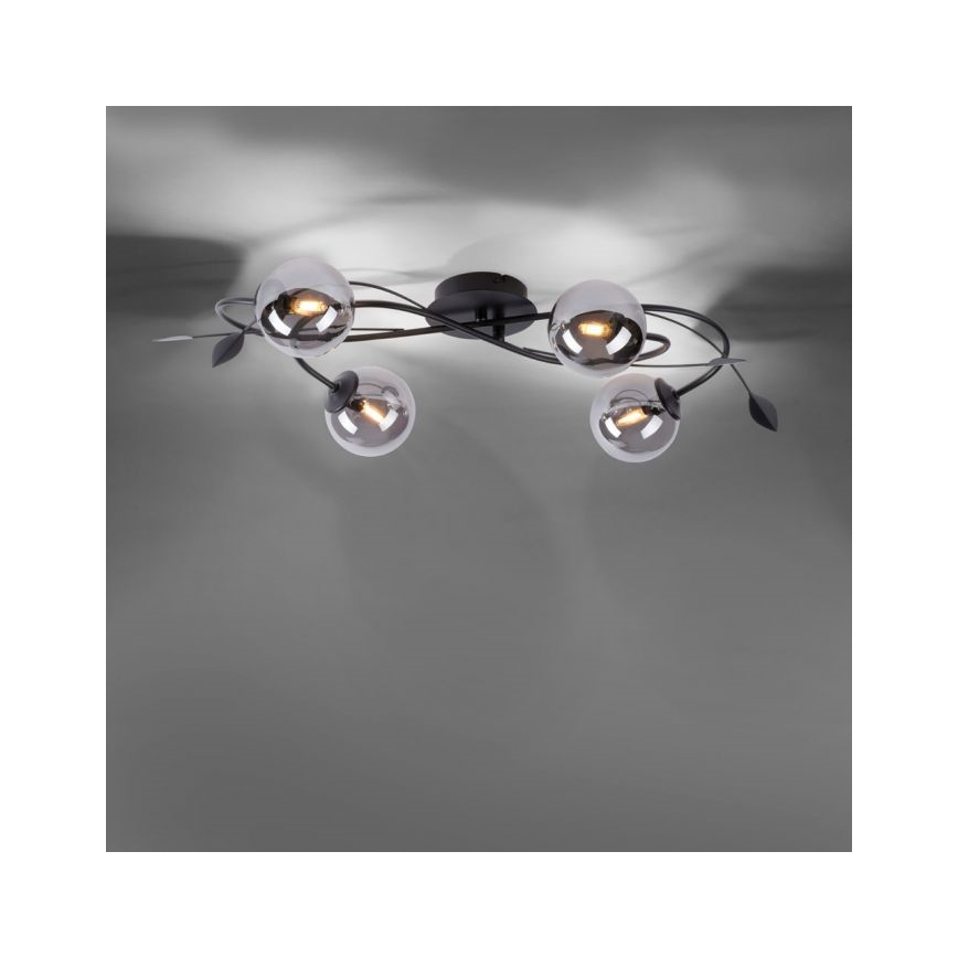 Paul Neuhaus 6724-18 - Пристельова LED люстра WIDOW 4xG9/3W/230V
