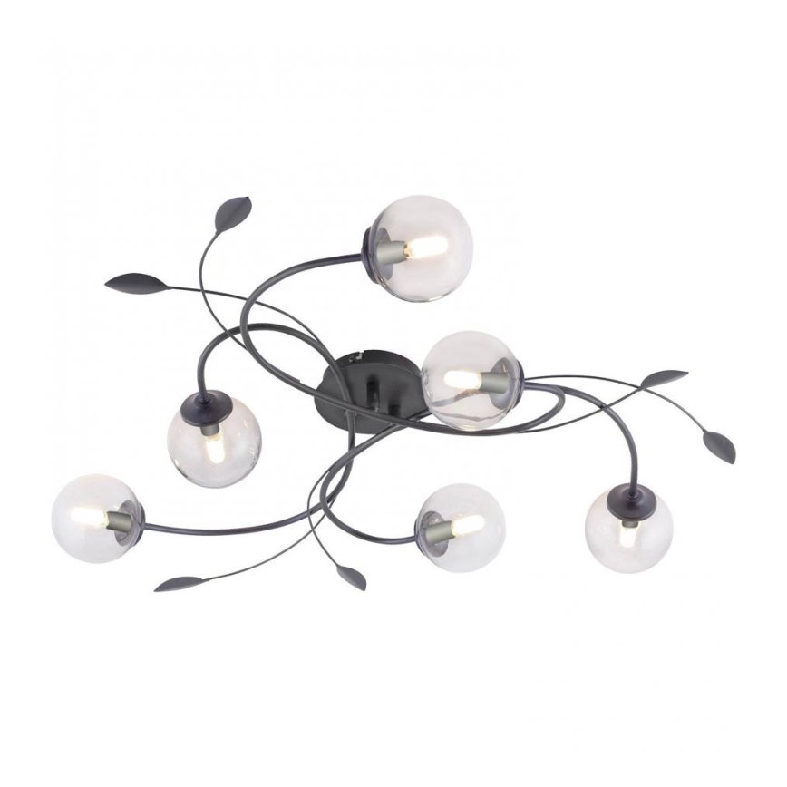 Paul Neuhaus 6737-18 - Пристельова LED люстра WIDOW 6xG9/3W/230V