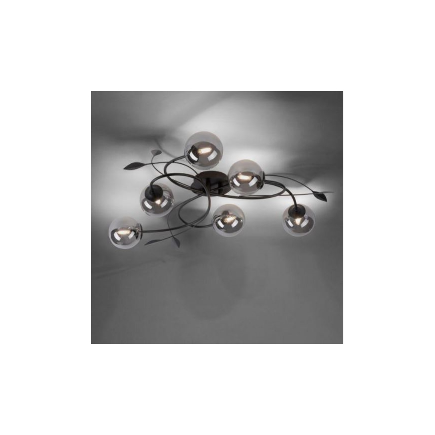 Paul Neuhaus 6737-18 - Пристельова LED люстра WIDOW 6xG9/3W/230V