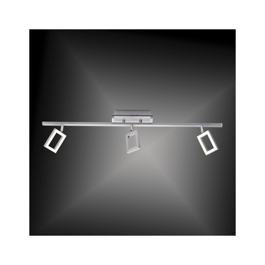 Paul Neuhaus 6959-55 - Точковий LED світильник INIGO 3xLED/4,2W/230V