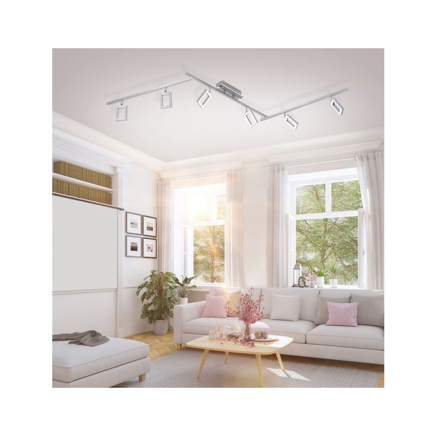 Paul Neuhaus 6965-55 - LED Точковий світильник з регулюванням яскравості INIGO 6xLED/4W/230V