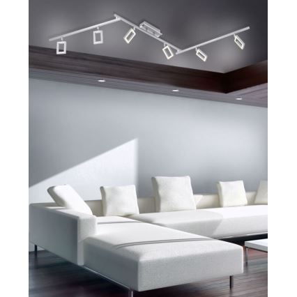 Paul Neuhaus 6965-55 - LED Точковий світильник з регулюванням яскравості INIGO 6xLED/4W/230V