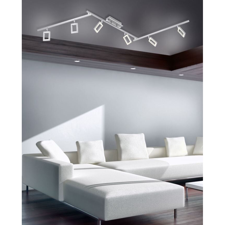 Paul Neuhaus 6965-55 - LED Точковий світильник з регулюванням яскравості INIGO 6xLED/4W/230V