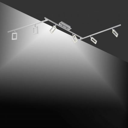 Paul Neuhaus 6965-55 - LED Точковий світильник з регулюванням яскравості INIGO 6xLED/4W/230V