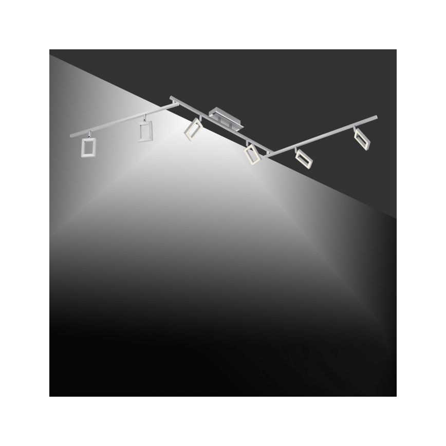 Paul Neuhaus 6965-55 - LED Точковий світильник з регулюванням яскравості INIGO 6xLED/4W/230V