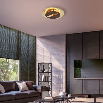 Paul Neuhaus 6982-48 - Светодиодный диммируемый потолочный светильник NEVIS LED/26W/230V