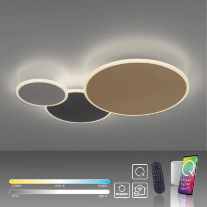 Paul Neuhaus 8007-70 - Светодиодный регулируемый потолочный светильник Q-PIATO LED/35W/230V 2700-5000K с Wi-Fi и дистанционным управлением