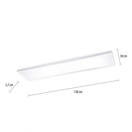 Paul Neuhaus 8112-17 - Стельовий LED світильник з регулюванням яскравості FLAG LED/35W/230V