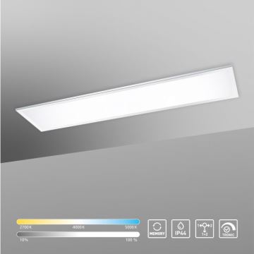 Paul Neuhaus 8112-17 - Стельовий LED світильник з регулюванням яскравості FLAG LED/35W/230V