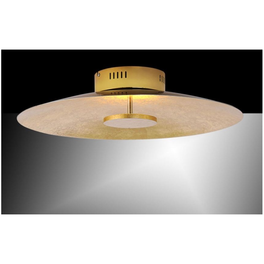 Paul Neuhaus 8132-12 - Стельовий LED світильник з регулюванням яскравості PLATE LED/25W/230V