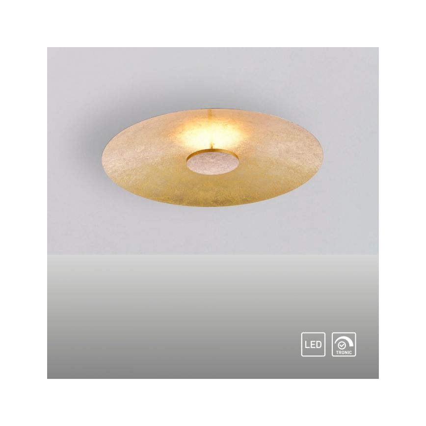 Paul Neuhaus 8132-12 - Стельовий LED світильник з регулюванням яскравості PLATE LED/25W/230V