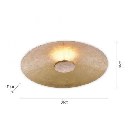 Paul Neuhaus 8132-12 - Стельовий LED світильник з регулюванням яскравості PLATE LED/25W/230V