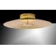 Paul Neuhaus 8132-12 - Стельовий LED світильник з регулюванням яскравості PLATE LED/25W/230V