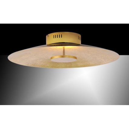 Paul Neuhaus 8132-12 - Светодиодный потолочный светильник с регулированием яркости PLATE LED/25W/230V