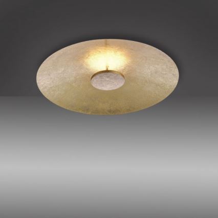 Paul Neuhaus 8132-12 - Светодиодный потолочный светильник с регулированием яркости PLATE LED/25W/230V