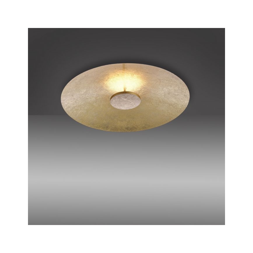 Paul Neuhaus 8132-12 - Светодиодный потолочный светильник с регулированием яркости PLATE LED/25W/230V