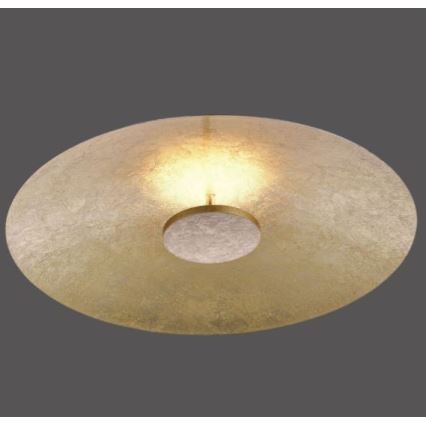Paul Neuhaus 8132-12 - Светодиодный потолочный светильник с регулированием яркости PLATE LED/25W/230V