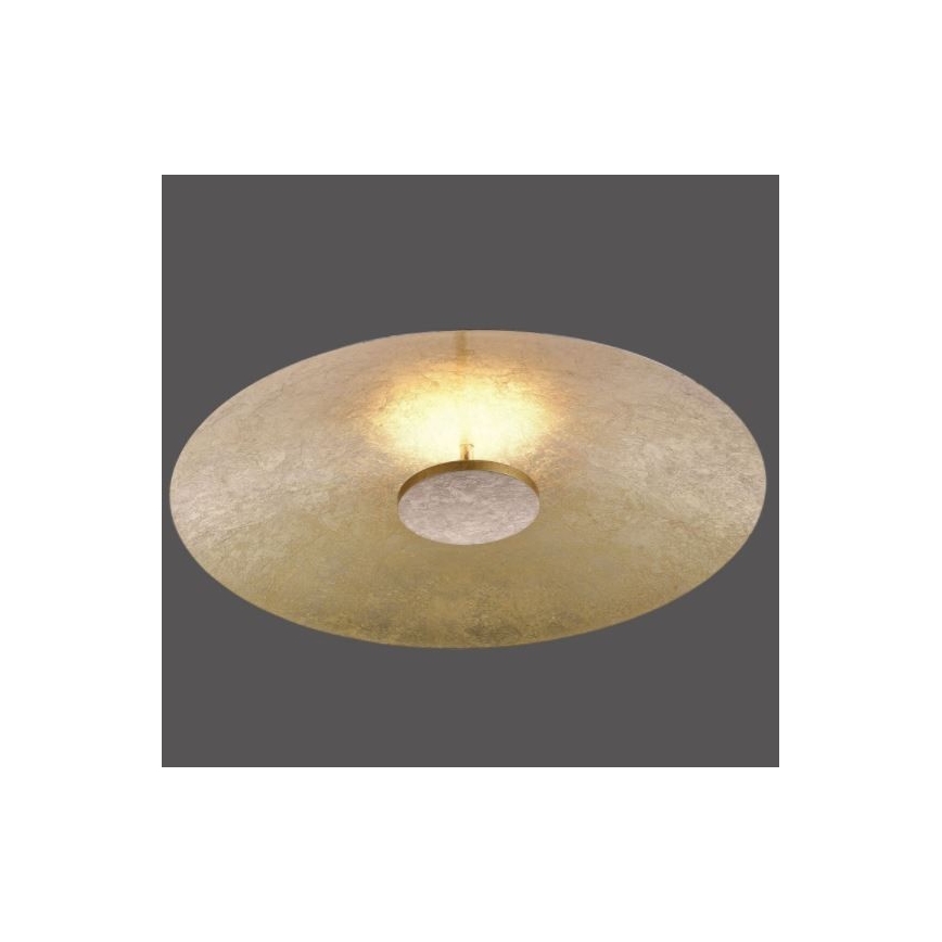 Paul Neuhaus 8132-12 - Светодиодный потолочный светильник с регулированием яркости PLATE LED/25W/230V