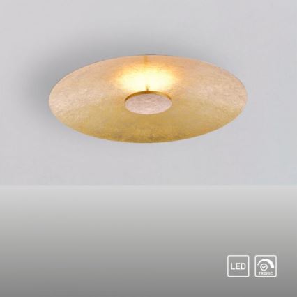 Paul Neuhaus 8132-12 - Светодиодный потолочный светильник с регулированием яркости PLATE LED/25W/230V