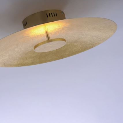 Paul Neuhaus 8132-12 - Светодиодный потолочный светильник с регулированием яркости PLATE LED/25W/230V