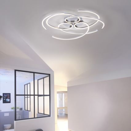 Paul Neuhaus 8165-55 - LED Димерний стельовий світильник DANILO 3xLED/12W/230V