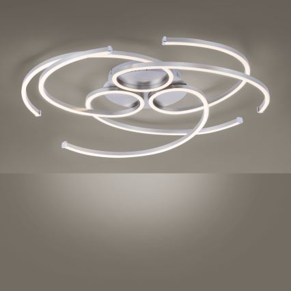 Paul Neuhaus 8165-55 - LED Димерний стельовий світильник DANILO 3xLED/12W/230V